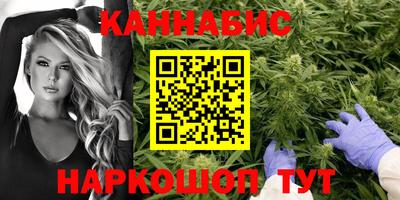 прущие крисы Абакан