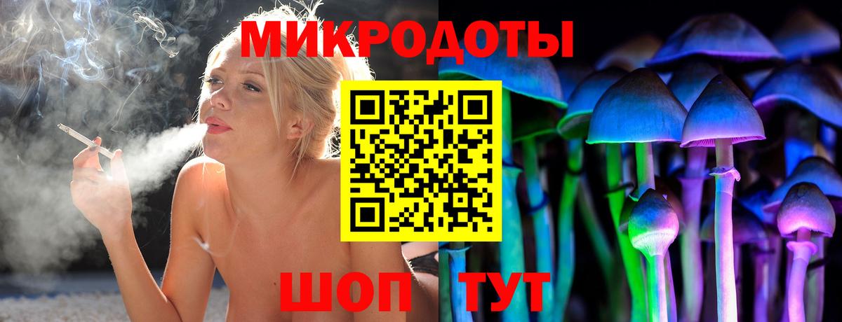 Псилоцибиновые грибы Psilocybe  Вход с VPN  Алейск 